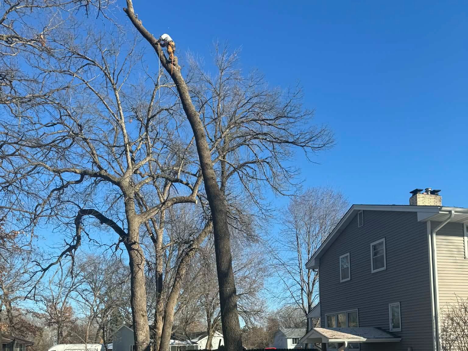 Geo Tree Services